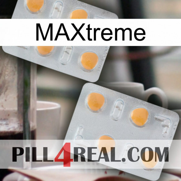 Maxtreme 25.jpg